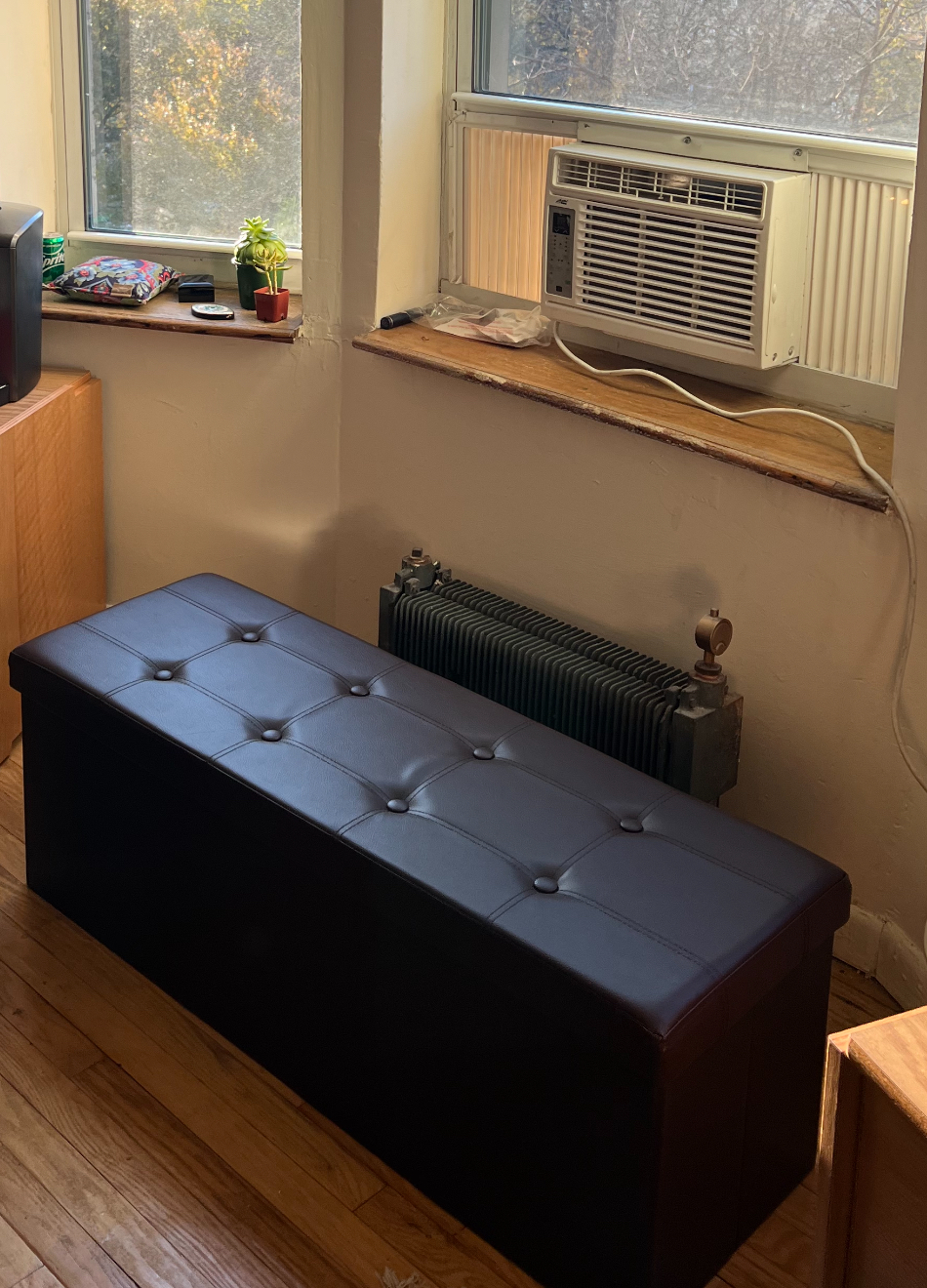 Storage bench (ottoman)