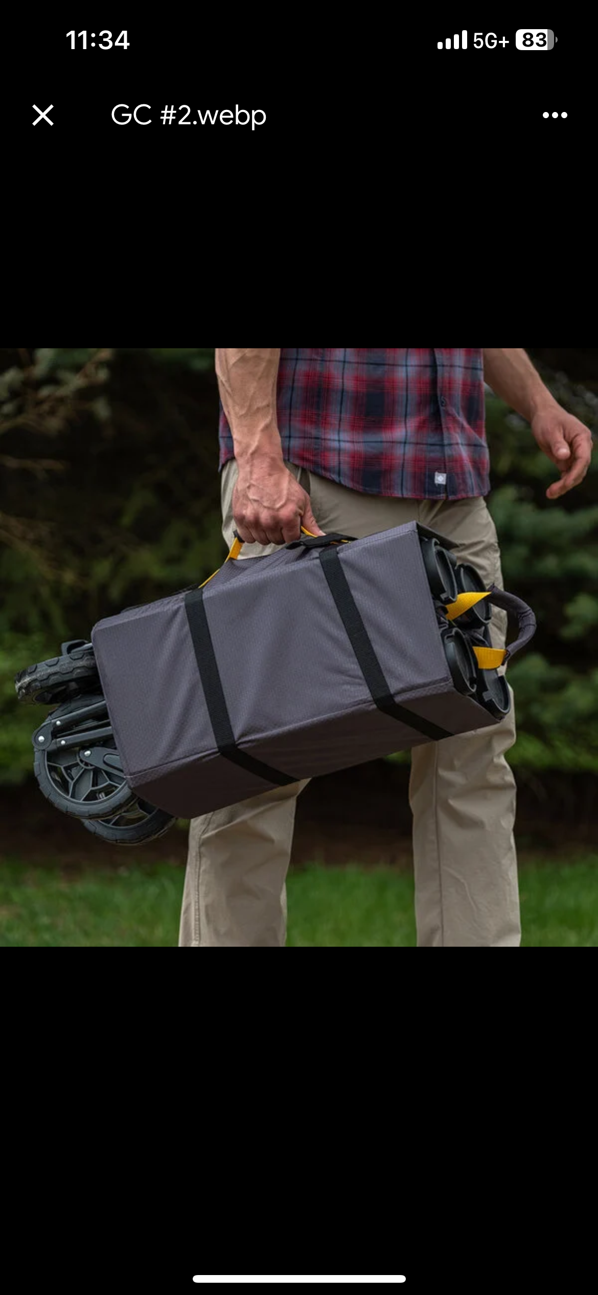 Large Collapsible Utility Cart