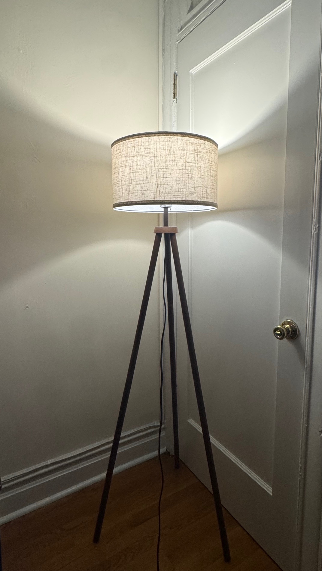 Tripod Floor Lamp (w/ remote)